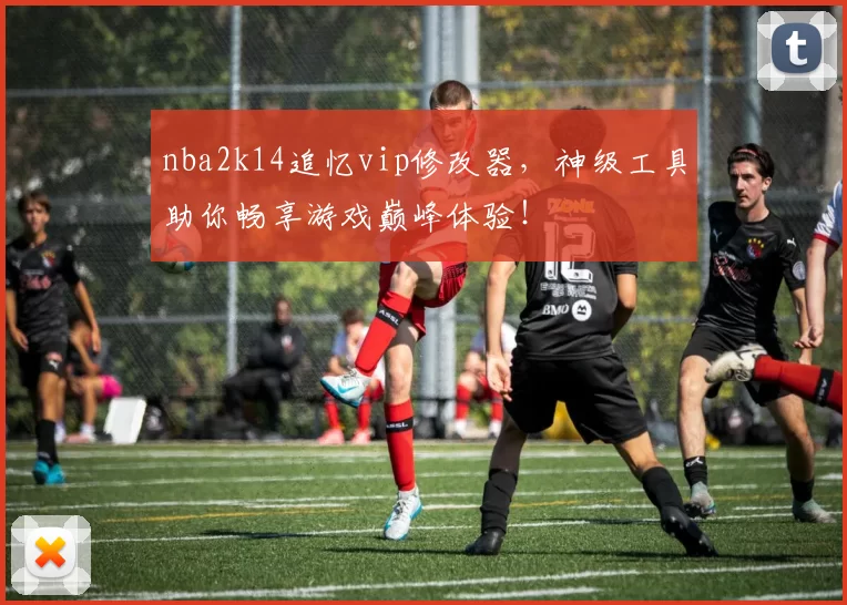 nba2k14追忆vip修改器，神级工具助你畅享游戏巅峰体验！