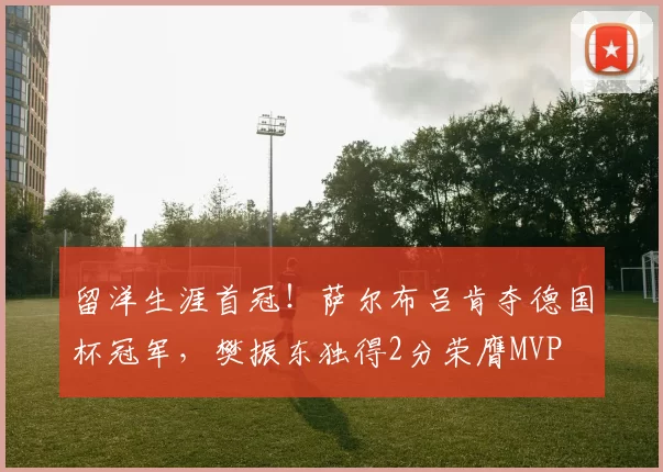 留洋生涯首冠！萨尔布吕肯夺德国杯冠军，樊振东独得2分荣膺MVP