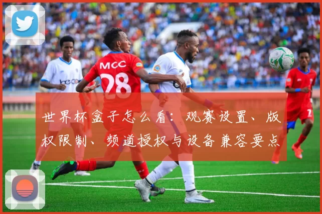 世界杯盒子怎么看：观赛设置、版权限制、频道授权与设备兼容要点解析