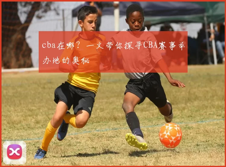 cba在哪？一文带你探寻CBA赛事举办地的奥秘