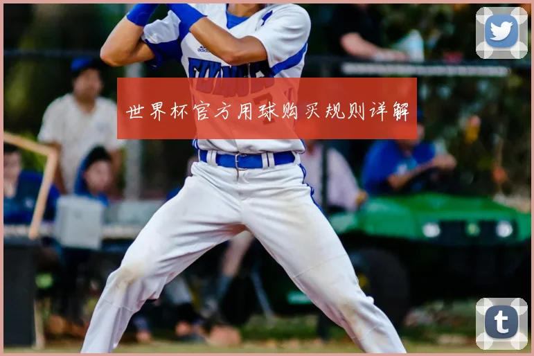 世界杯官方用球购买规则详解