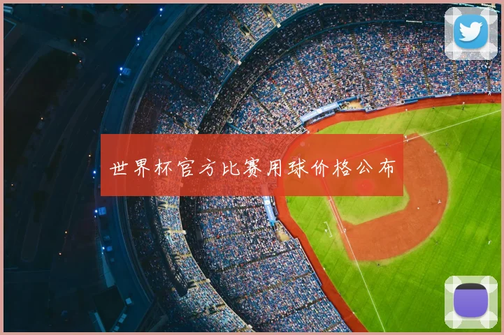 世界杯官方比赛用球价格公布